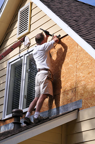 Historical Building Siding Restoration in Shady Hills, FL